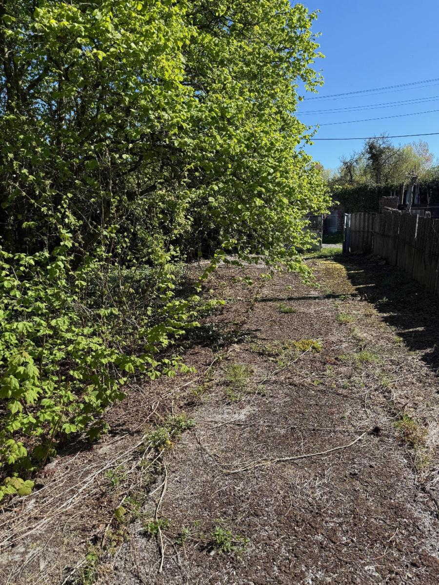 Presentatiebeeld van het pand n° 295592