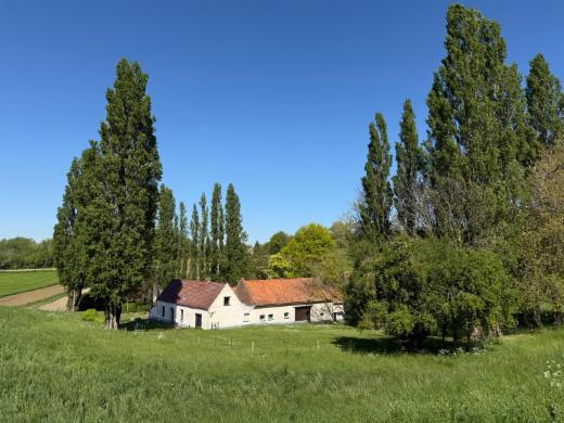 Presentatiebeeld van het pand n° 296371