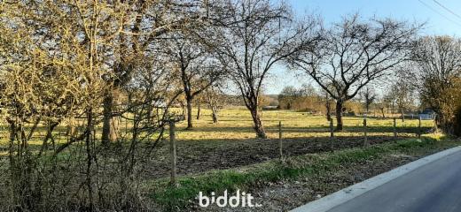 Tweede alternatieve foto van het pand