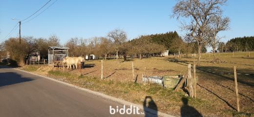 Presentatiebeeld van het pand n° 290629