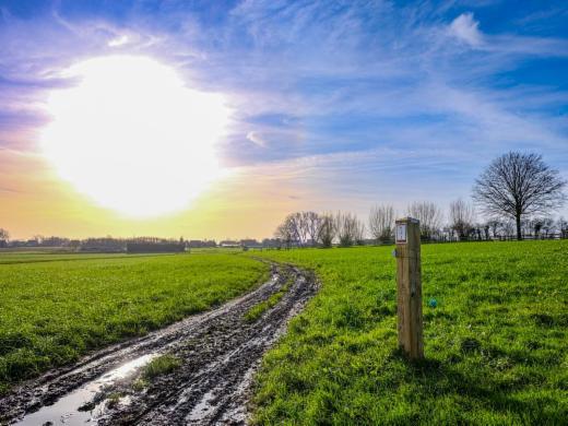 Eerste alternatieve foto van het pand