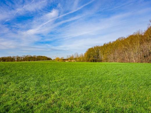 Eerste alternatieve foto van het pand