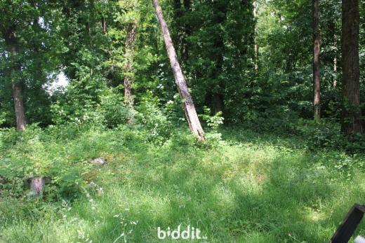 Presentatiebeeld van het pand n° 284141