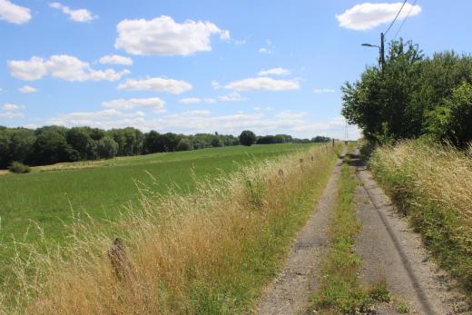 Eerste alternatieve foto van het pand