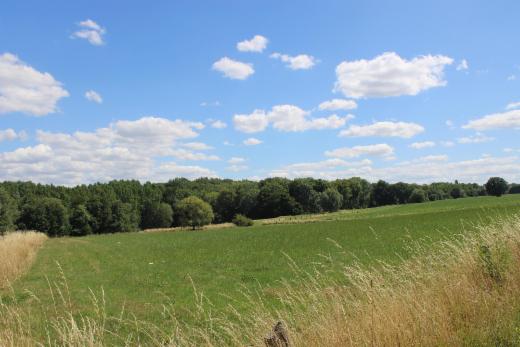 Tweede alternatieve foto van het pand