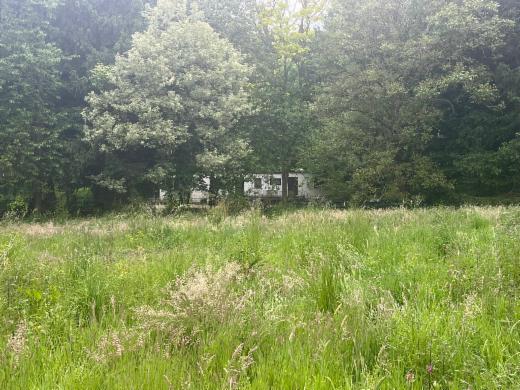 Eerste alternatieve foto van het pand