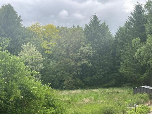 Tweede alternatieve foto van het pand