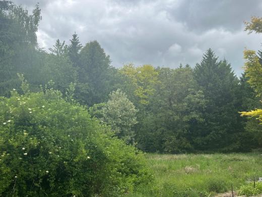 Derde alternatieve foto van het pand