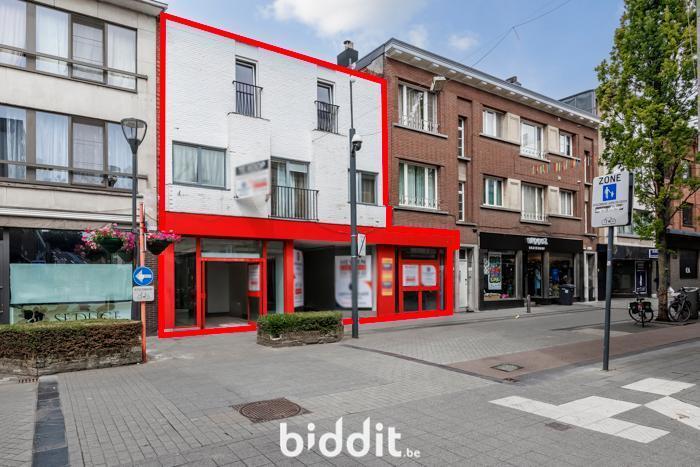 Presentatiebeeld van het pand n° 300252