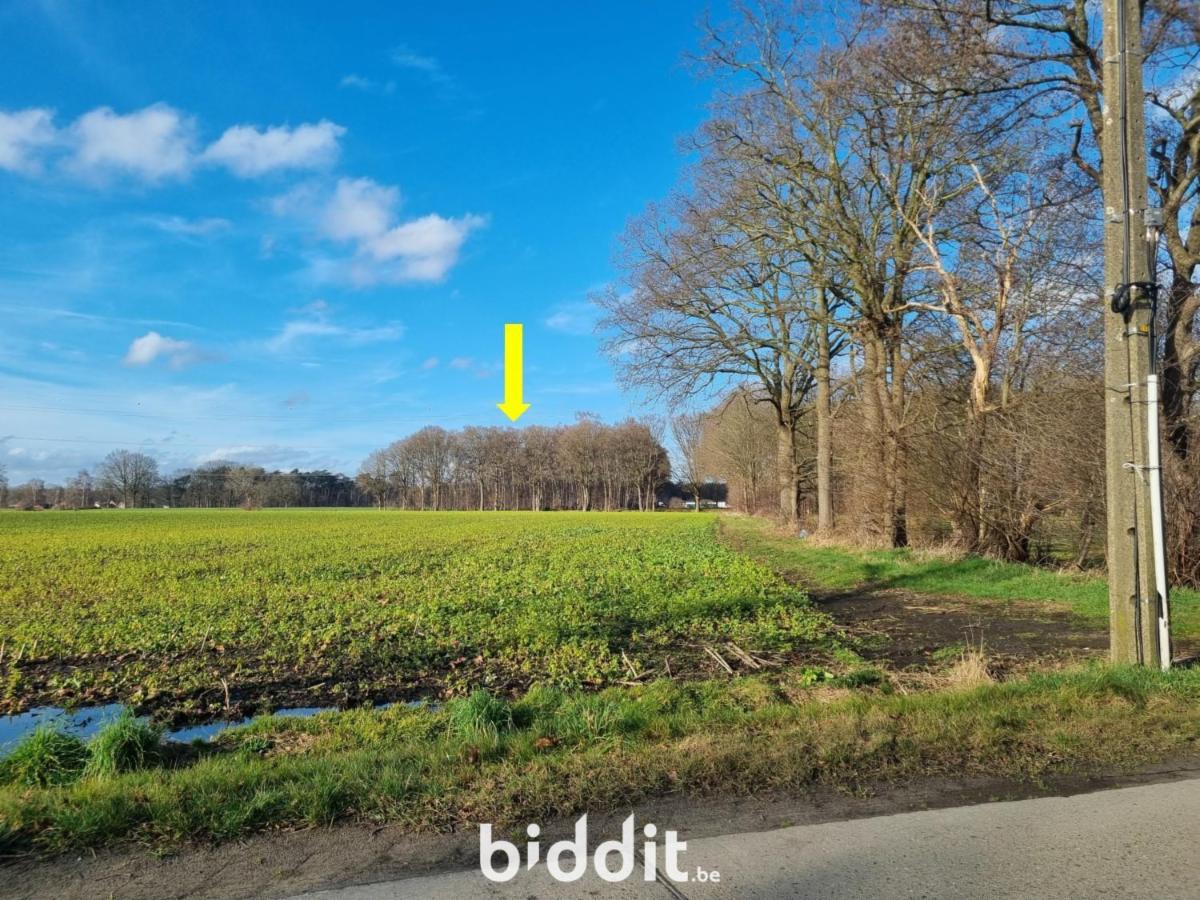 Presentatiebeeld van het pand n° 293861