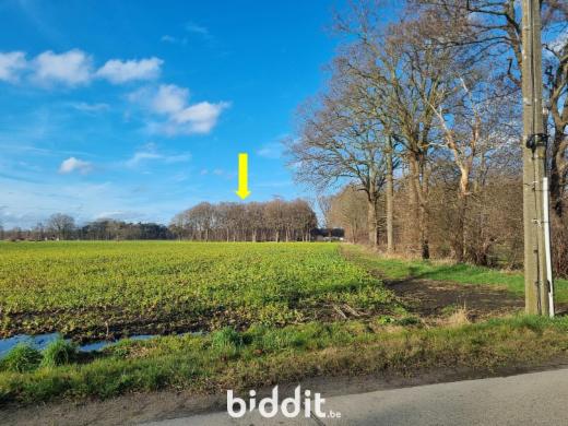 Presentatiebeeld van het pand n° 293861