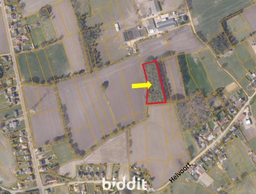 Tweede alternatieve foto van het pand