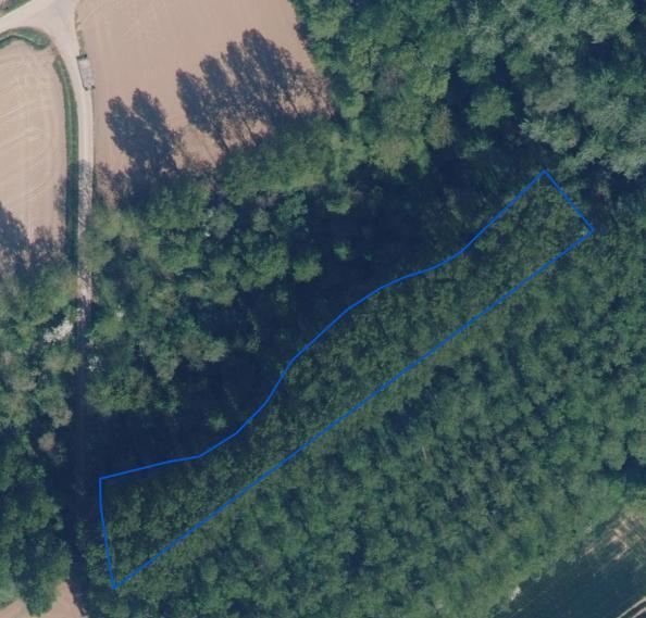 Presentatiebeeld van het pand n° 293421