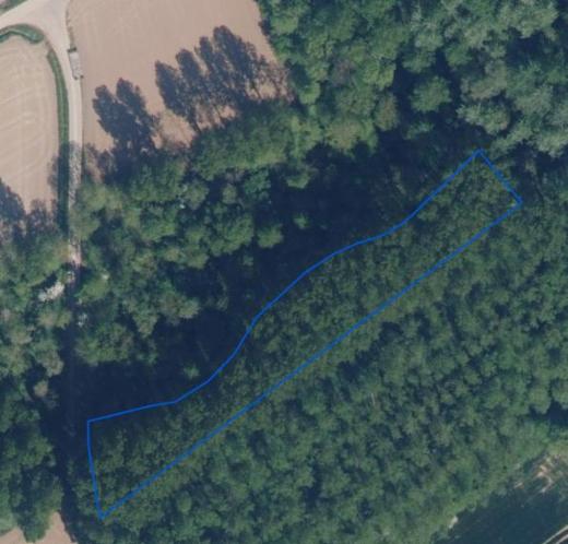 Presentatiebeeld van het pand n° 293421