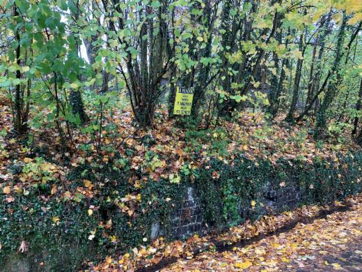 Presentatiebeeld van het pand n° 289664