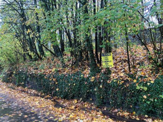 Eerste alternatieve foto van het pand