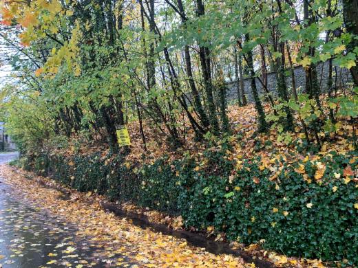 Tweede alternatieve foto van het pand