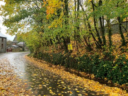 Derde alternatieve foto van het pand