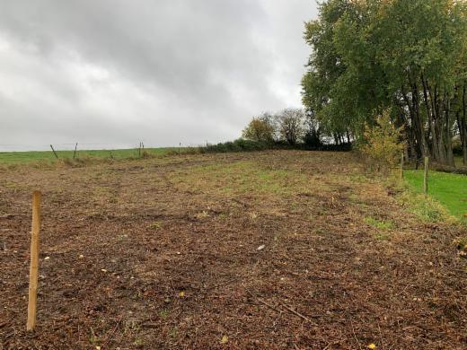 Eerste alternatieve foto van het pand