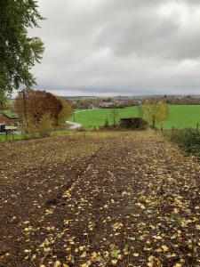 Tweede alternatieve foto van het pand