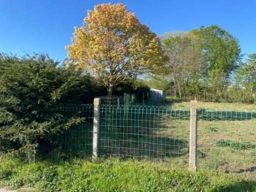 Derde alternatieve foto van het pand