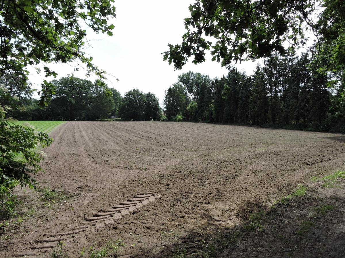 Presentatiebeeld van het pand n° 298370