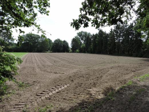 Presentatiebeeld van het pand n° 298370