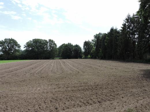 Eerste alternatieve foto van het pand