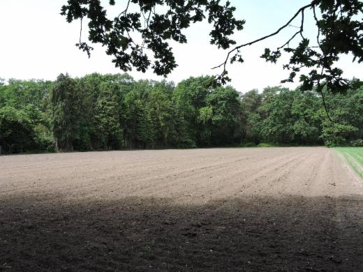 Tweede alternatieve foto van het pand