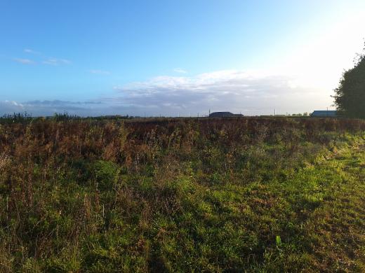 Tweede alternatieve foto van het pand