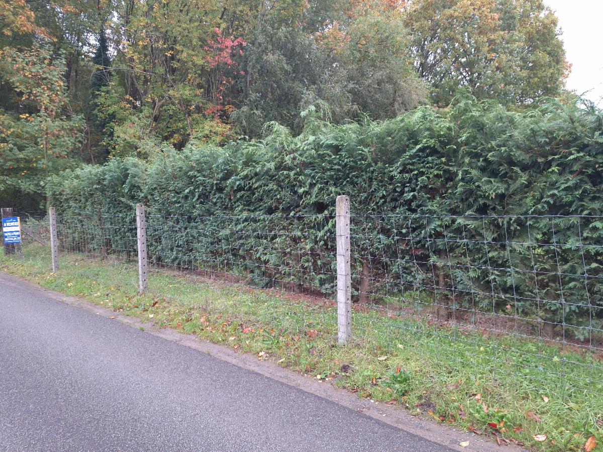 Presentatiebeeld van het pand n° 303526