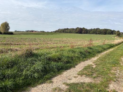 Presentatiebeeld van het pand n° 287655