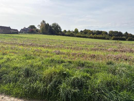 Eerste alternatieve foto van het pand