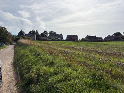 Derde alternatieve foto van het pand
