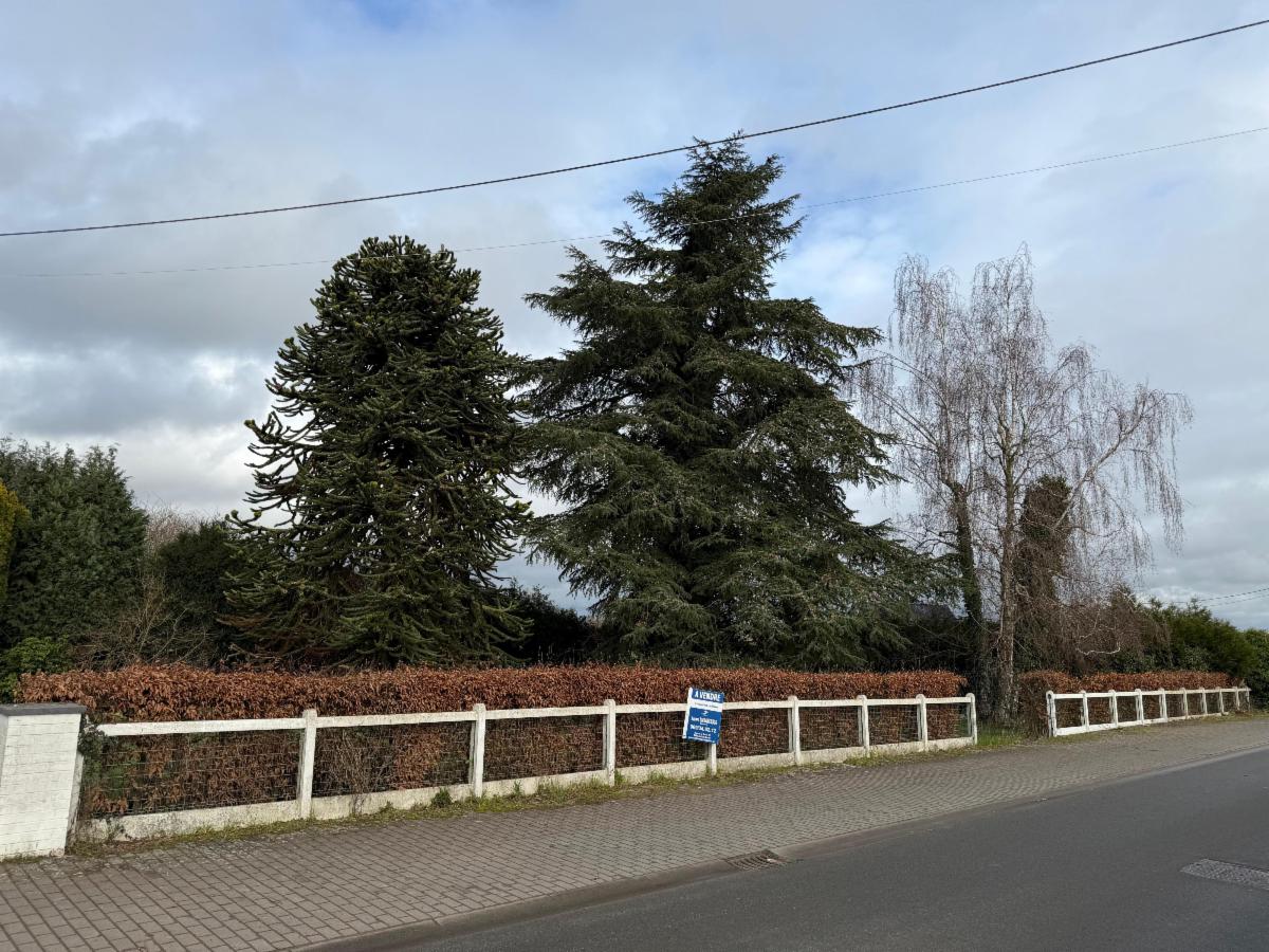 Presentatiebeeld van het pand n° 292513