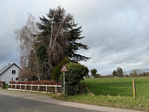 Eerste alternatieve foto van het pand