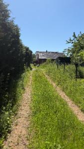 Eerste alternatieve foto van het pand