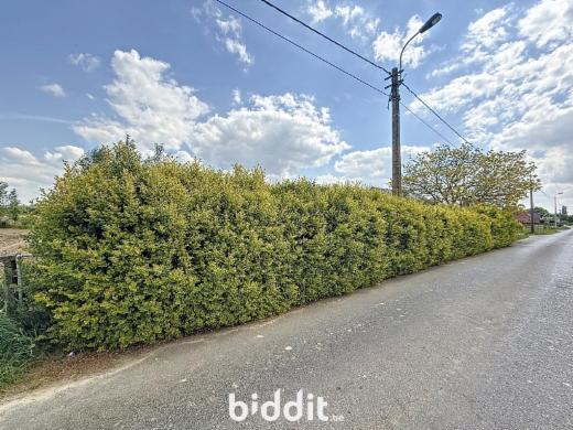 Derde alternatieve foto van het pand