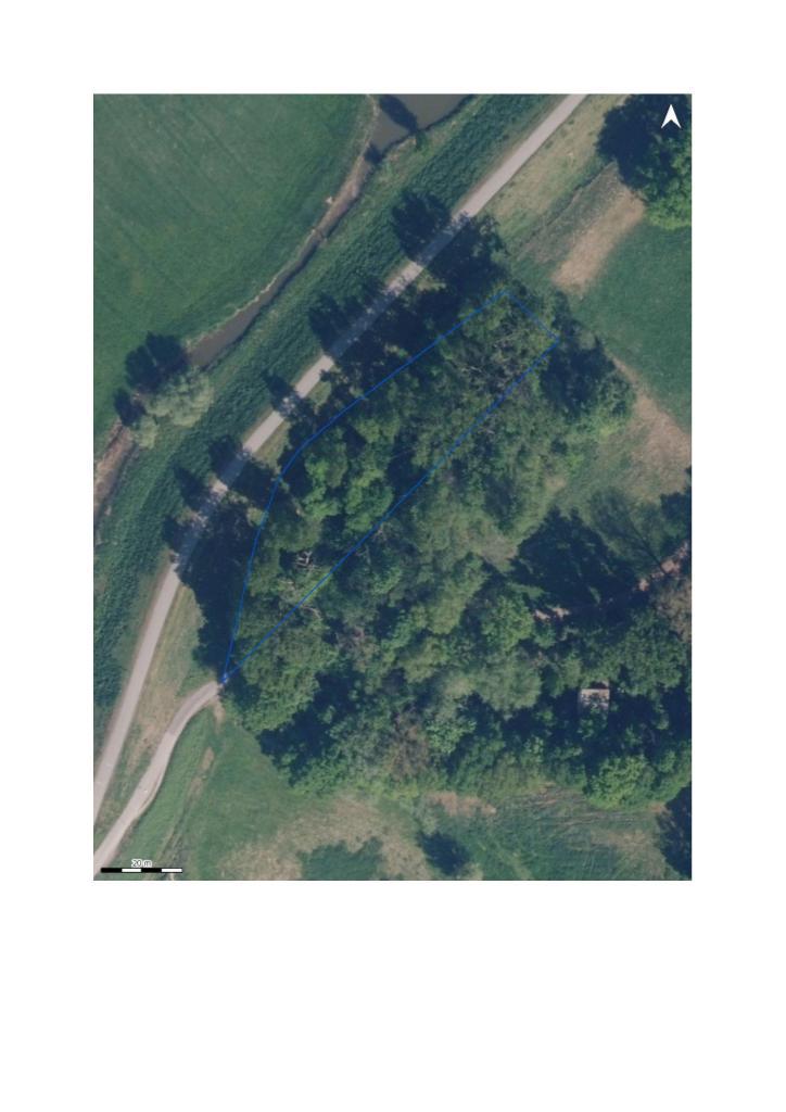 Presentatiebeeld van het pand n° 302450