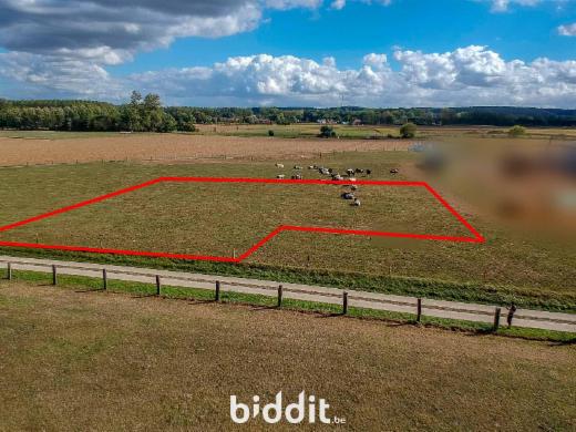Eerste alternatieve foto van het pand