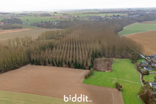 Derde alternatieve foto van het pand