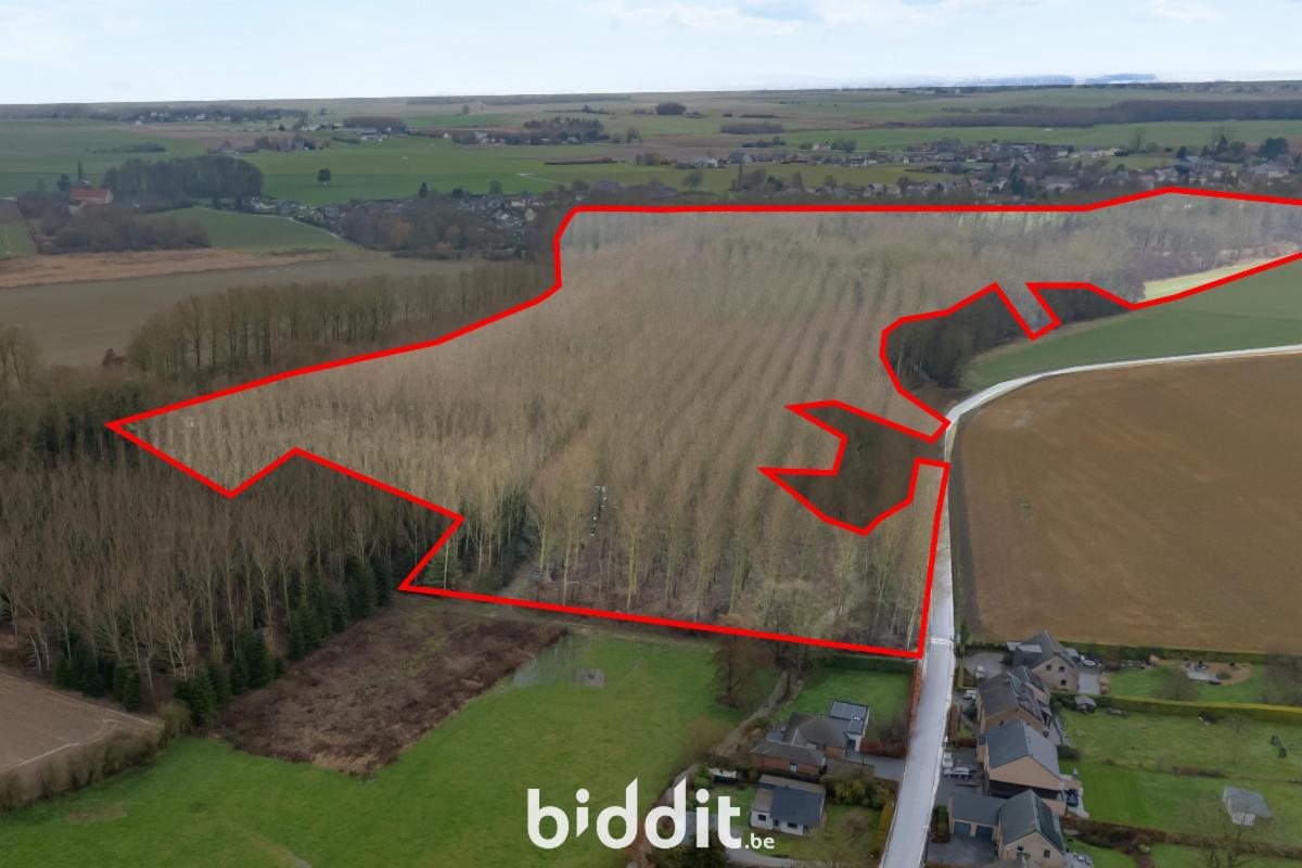 Presentatiebeeld van het pand n° 293431