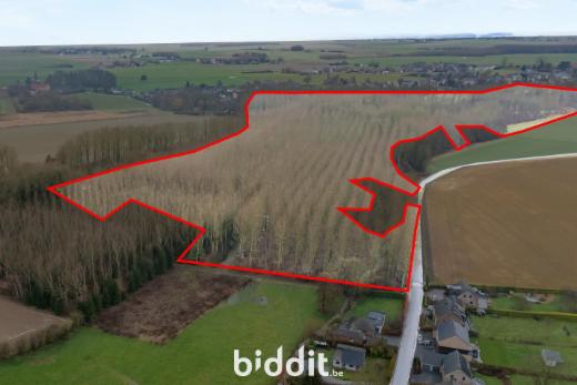 Presentatiebeeld van het pand n° 293431