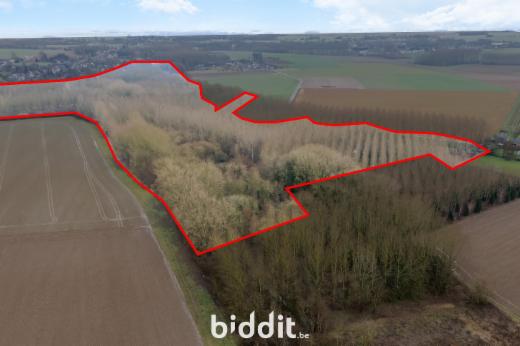 Eerste alternatieve foto van het pand