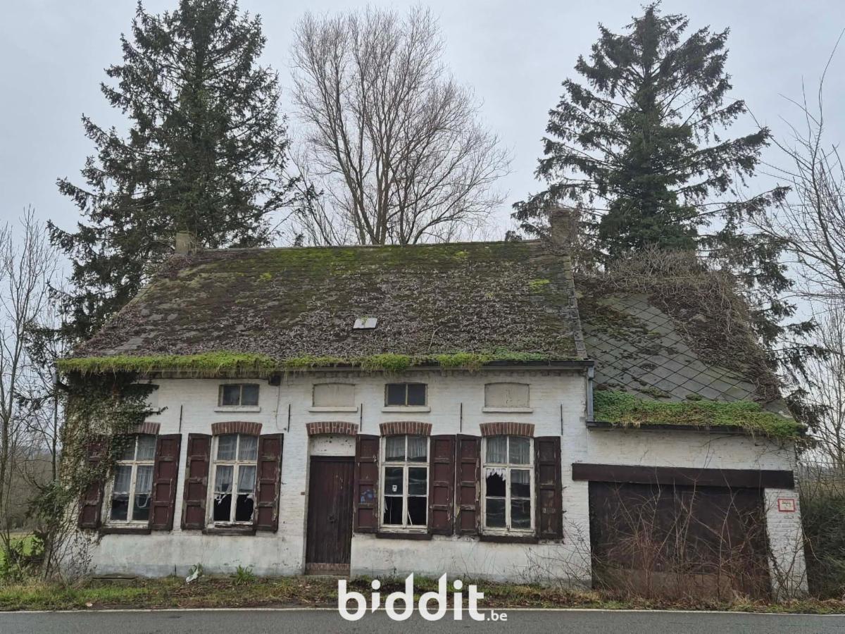 Presentatiebeeld van het pand n° 292323