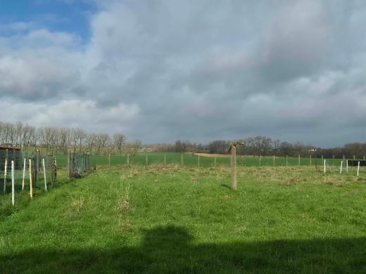 Tweede alternatieve foto van het pand