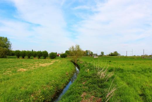 Derde alternatieve foto van het pand
