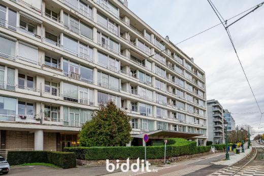 Presentatiebeeld van het pand n° 290370