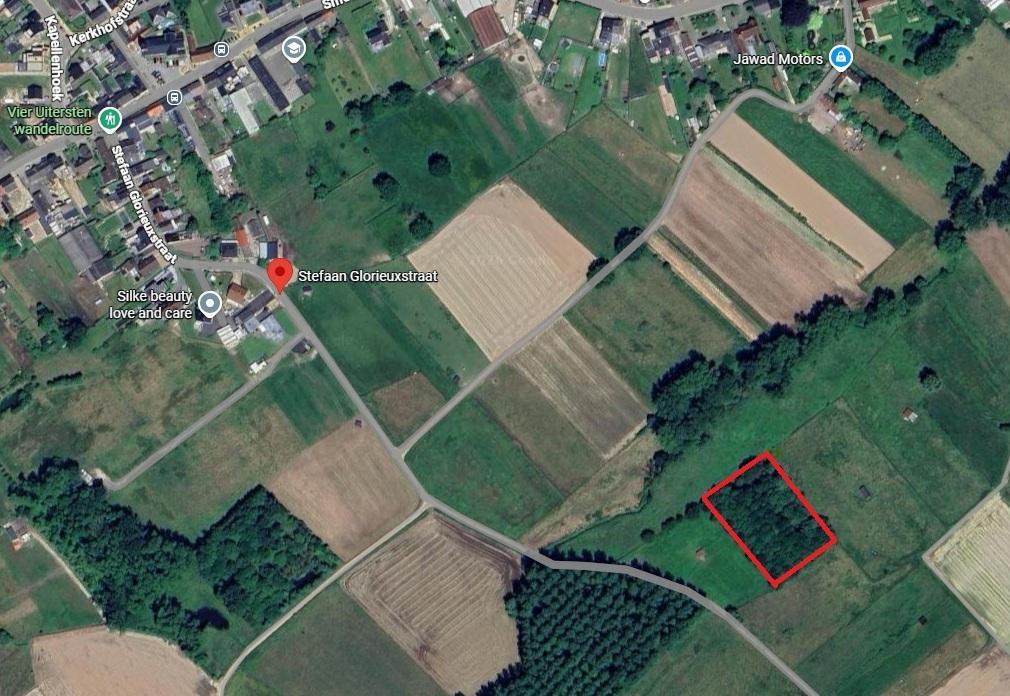 Presentatiebeeld van het pand n° 294065