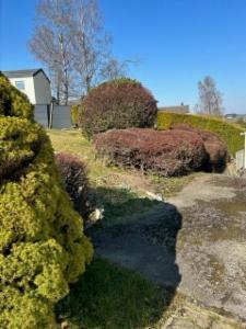 Derde alternatieve foto van het pand